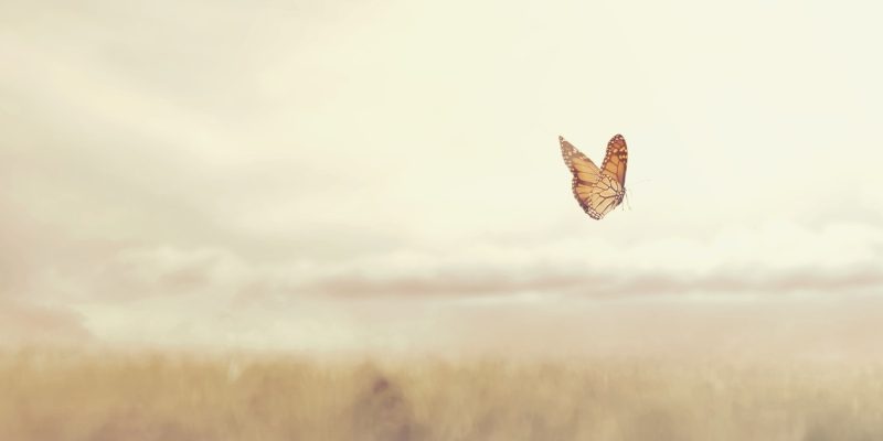 Miscarriage in Denver, North Carolina